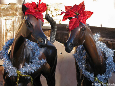 Christmas ponies