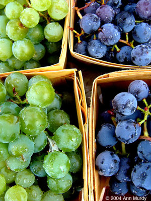 Green  Purple grapes
