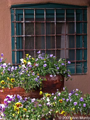 Window with pansies