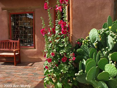 Old Town in Albuquerque