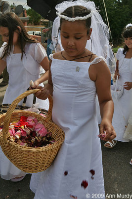 Dropping petals