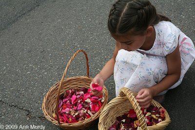 Gathering rose petals