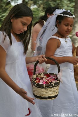 Dropping rose petals