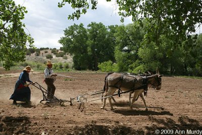 Plowing the fields
