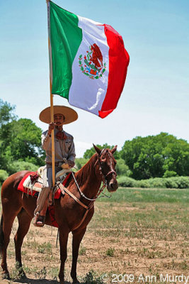 Viva Mexico
