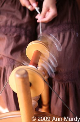 Spinning the wool