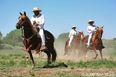 Peruvian Pasos Performing
