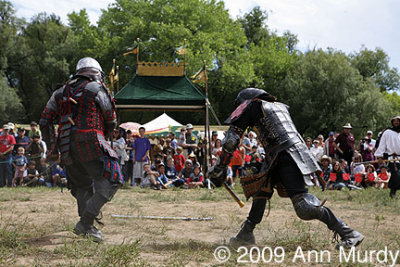 Medieval combat