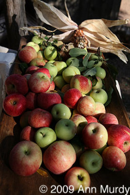 Apples and dried corn