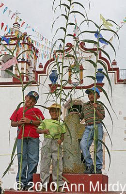 Three boys