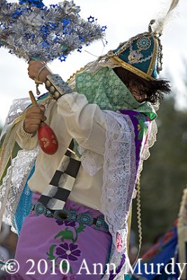 Jemez Monarca swinging palma