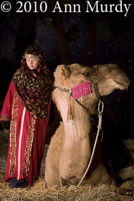 Lady with camel