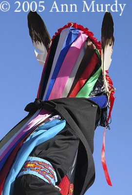 Back of Dancer
