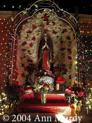 Guadalupe Altar with Roses