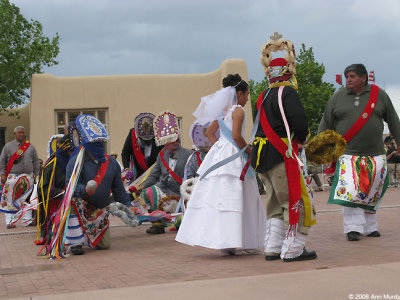 Tortugas danzantes