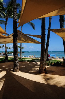 Shady spot