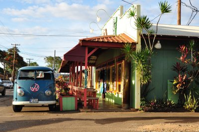 Grass Skirt Grill, highly recommended!