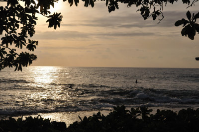 Sunset surfers