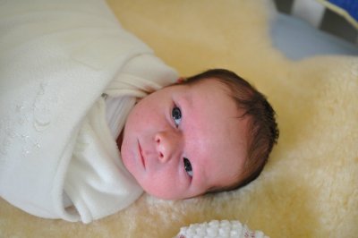 2 weeks old
