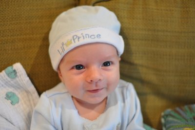 8 weeks old