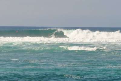 Surfers