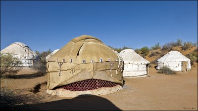Our yurt camp in the steppe