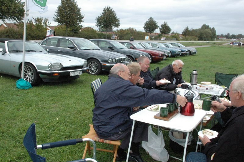 Jaguarer och trta