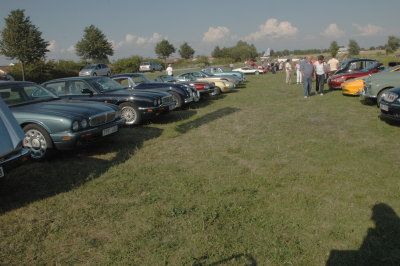 Jaguarer och Pantrar