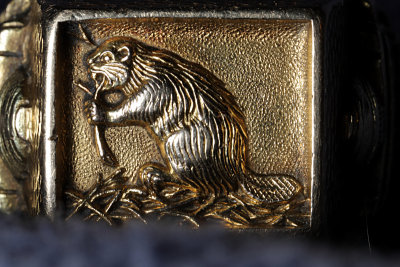 g1/86/777086/3/107668250.Z1uNTujS.jpg