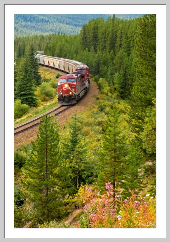 A train passing Mornants Curve