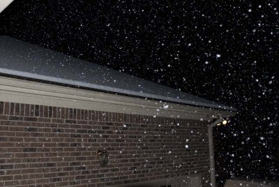 2011 Jan Snow-11.jpg