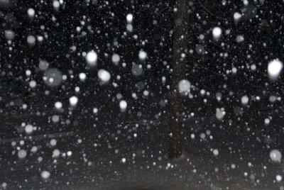 2011 Jan Snow-12.jpg