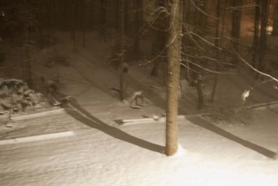 2011 Jan Snow-13.jpg
