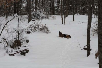 2011 Jan Snow-17.jpg