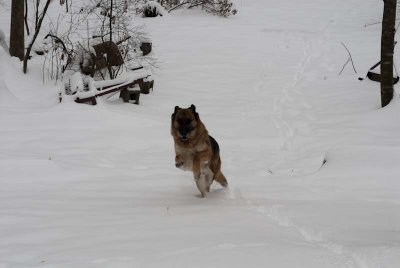 2011 Jan Snow-18.jpg