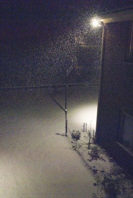 2011 Jan Snow-2.jpg