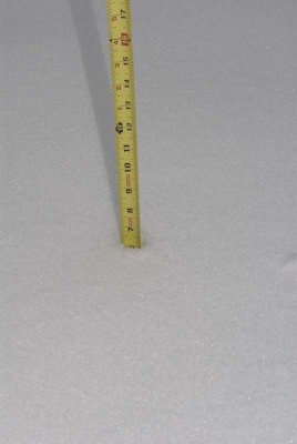 2011 Jan Snow-25.jpg