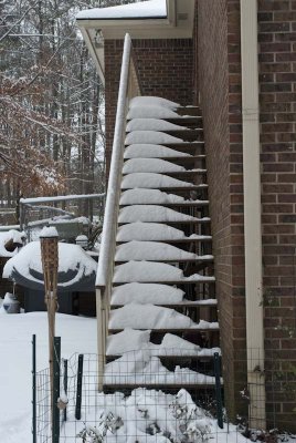 2011 Jan Snow-26.jpg