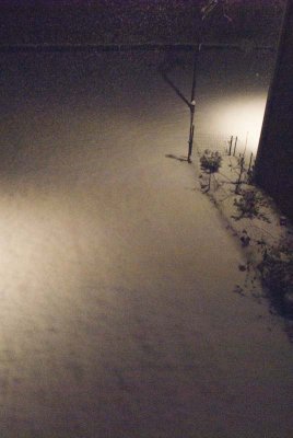 2011 Jan Snow-3.jpg