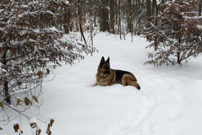2011 Jan Snow-32.jpg
