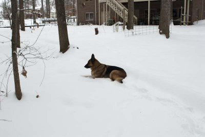 2011 Jan Snow-33.jpg