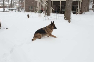 2011 Jan Snow-34.jpg