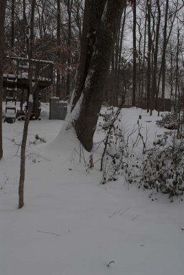2011 Jan Snow-35.jpg