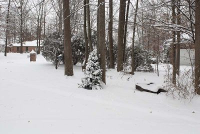2011 Jan Snow-38.jpg