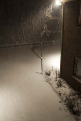 2011 Jan Snow-4.jpg