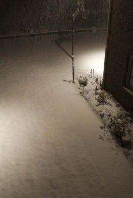 2011 Jan Snow-5.jpg