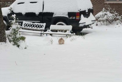 2011 Jan Snow-51.jpg