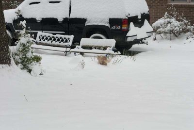 2011 Jan Snow-52.jpg