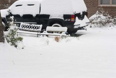 2011 Jan Snow-53.jpg