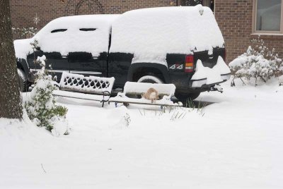 2011 Jan Snow-54.jpg